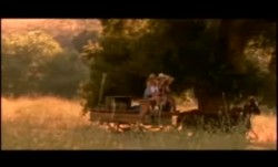 湿野5HD-WETANDWILD5HD