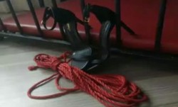 《新流劲爆✅资源》网红男女通吃SM调教御姐maya女王订阅完结篇~绳缚虐乳拘束强制高潮鞭打(18)