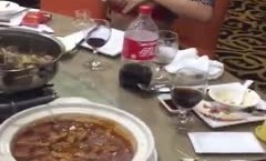 高颜值奶韵味少妇，奶发骚，餐馆里喷奶在杯子里，这也是一个虎娘们，母爱泛滥，见人就喂奶！