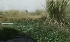 “我草泥马你快点这么骚”对白粗口淫荡白嫩美少妇与老公粗鲁变态兄弟偸情驱车跑到野外打地铺啪啪内射
