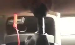 女士开手动档的车，是有好处的，大白天就饥渴，小骚逼速度来回自动杠，很久没爱爱了吧好看的湿穴！